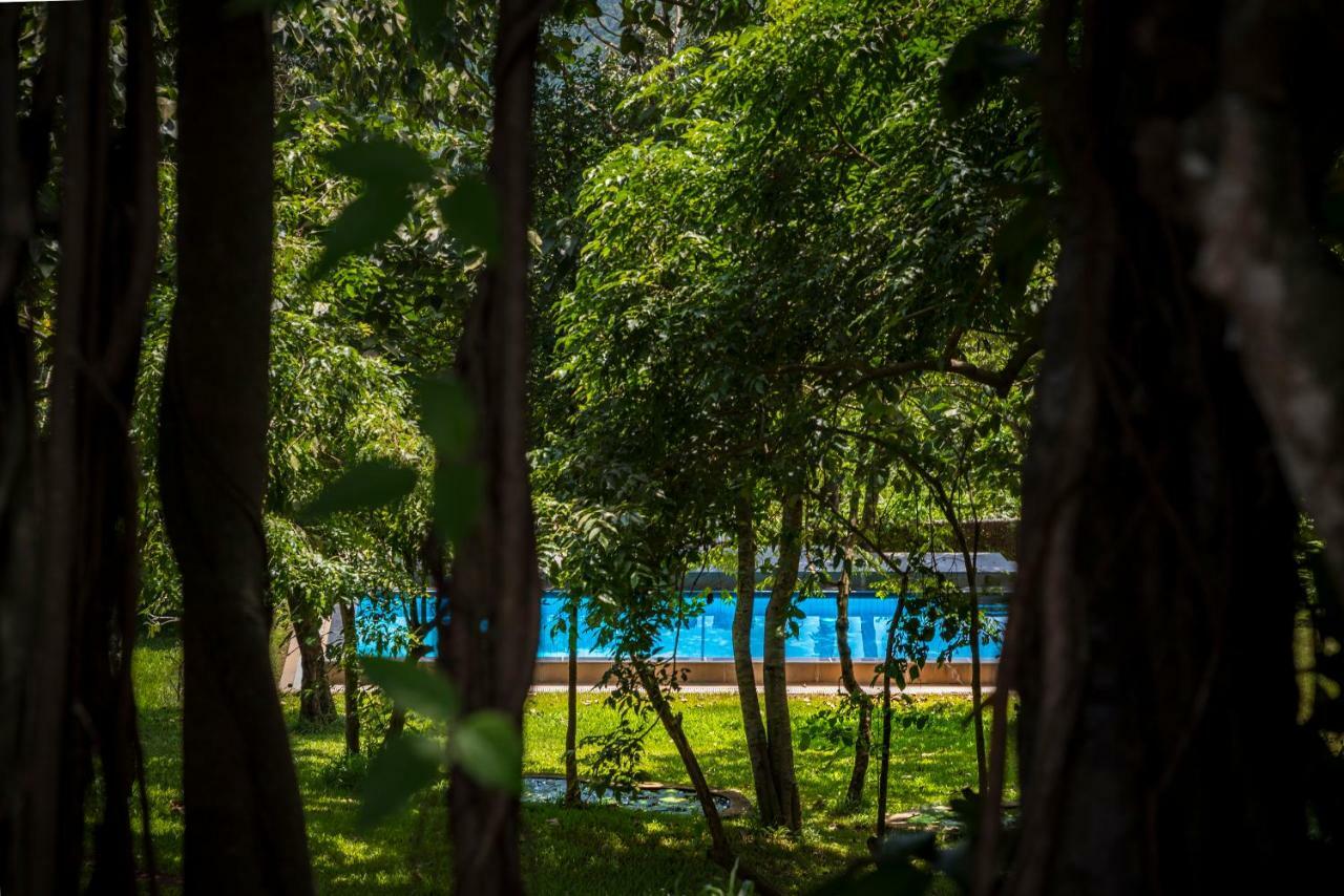 The Postcard Velha, Goa Otel Eski Goa Dış mekan fotoğraf